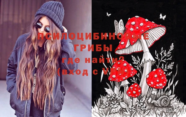 PSILOCYBIN Абинск