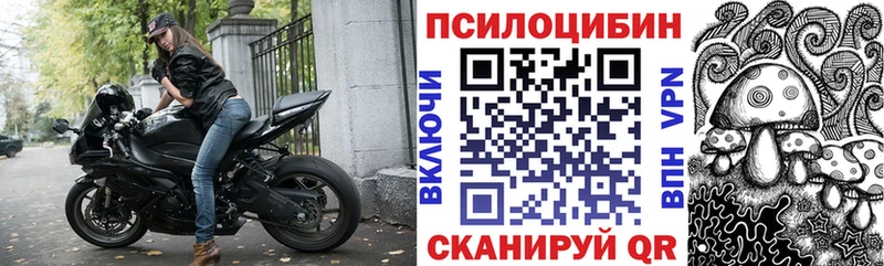 Псилоцибиновые грибы MAGIC MUSHROOMS  купить закладку  Прокопьевск 